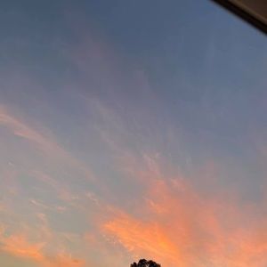 Meet your Posher, Lynne